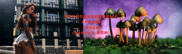 тгк Богданович