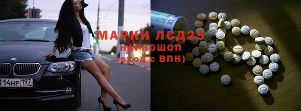 ECSTASY Белокуриха