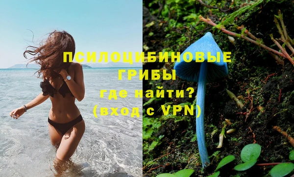 ECSTASY Белокуриха