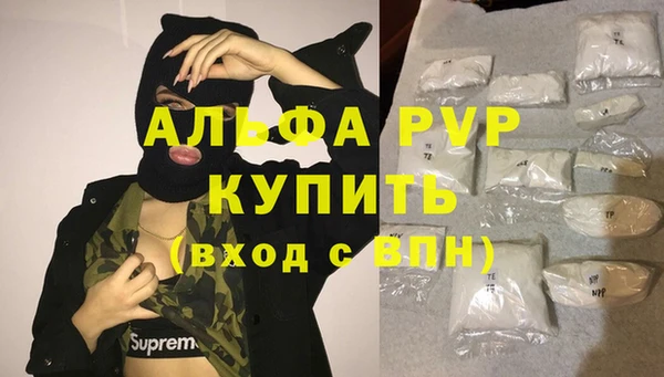 ECSTASY Белокуриха