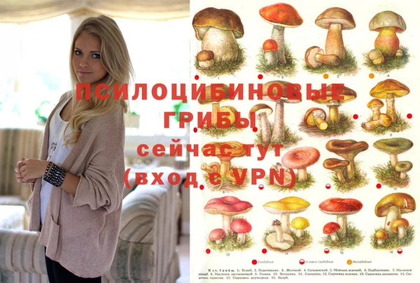 ECSTASY Белокуриха