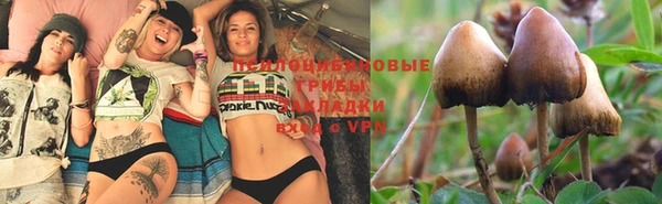 хмурый Белоозёрский
